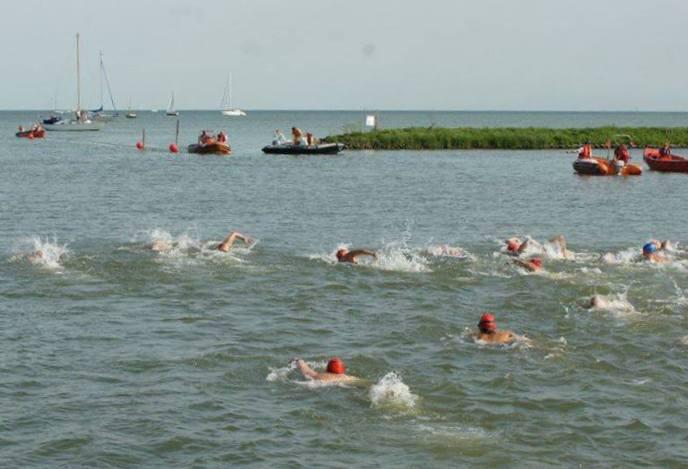 OpenwaterZwemmenAfbeelding